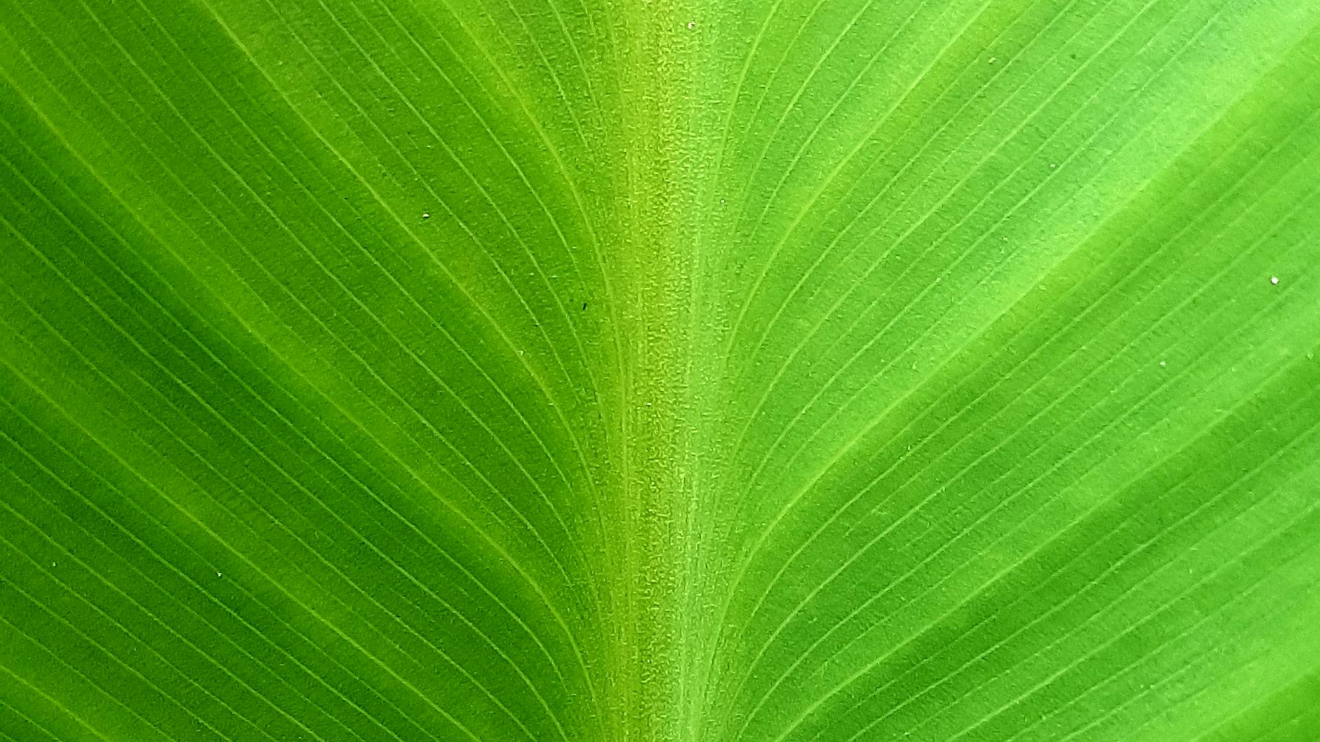 Sales performance tracking